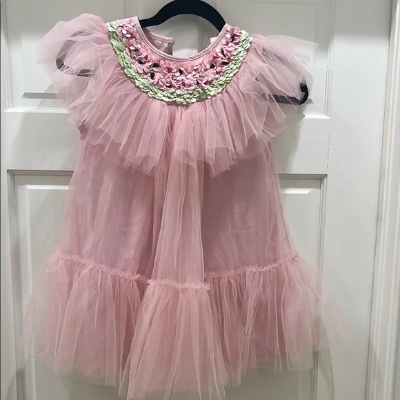 Tutu Du Monde Blush Sequin Dress Watermelon design it’s perfect! BNWT size 8-9 - Picture 1 of 6